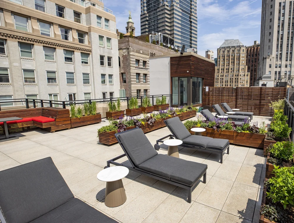 BxE_Rooftop1_Cropped